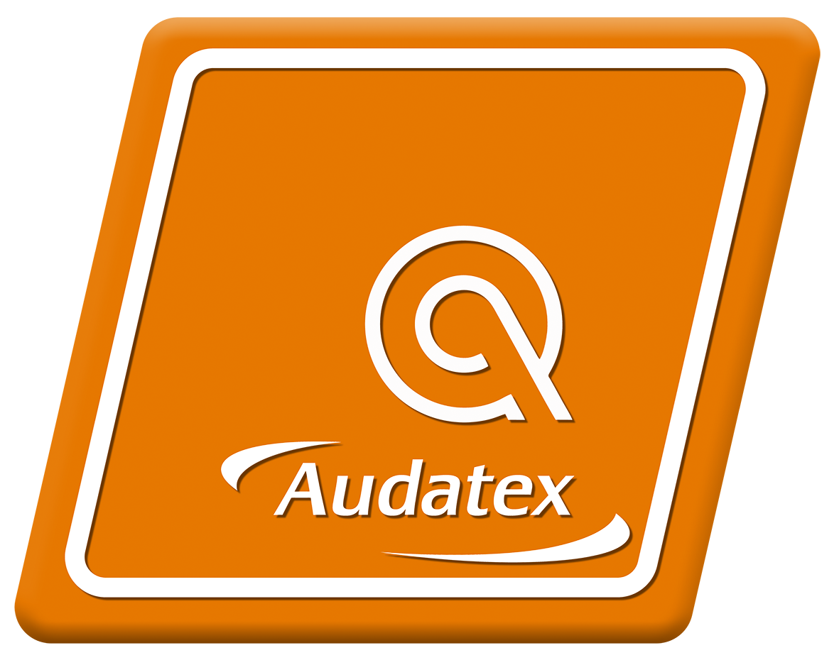 Audatex/Qapter